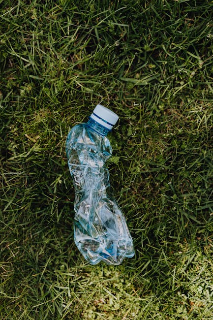 Common problems when booking Turnham Green rubbish collection